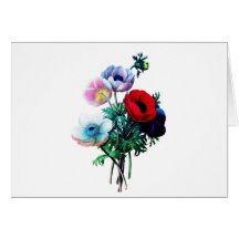 Rote weiße und blaue Anemonen durch Redoute Karten
