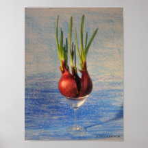 Rote Zwiebel Martini Plakatdrucke