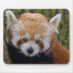 Roter Bandit Mousemat Mauspad