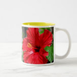 Roter Becher der Hibiskus-Mutter Tages Haferl