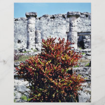 Roter Croton Bush an den Mayaruinen, Tulum Flyer