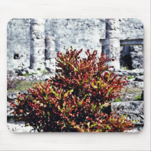 Roter Croton Bush an den Mayaruinen, Tulum Mousepad