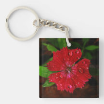 Roter Dianthus mit Regentropfen Schlüsselring