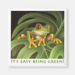 Roter mit Augen Baum-Frosch-Magnet Kühlschrankmagnete