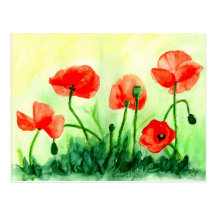 Roter Mohn Postkarte