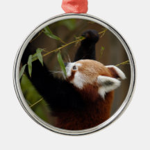 Roter Panda-Weihnachtsverzierung Weihnachtsbaum Ornamente