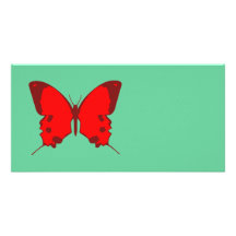 Roter Schmetterling Photogrußkarten