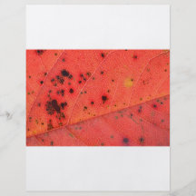 Rotes Blatt-Makro Flyerbedruckung