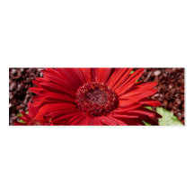 Rotes Blumen-Lesezeichen Visitenkarten