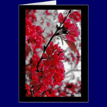 Rotes Blumen-Plakat - hellgrauer Hintergrund karten