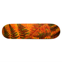 Rotes Farn-Skateboard Personalisiertes Skatedeck