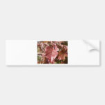 Rotes Herbst-Blätter Auto Sticker