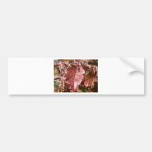 Rotes Herbst-Blätter Auto Sticker