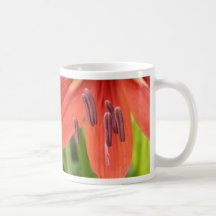 Rotes orange Lilly Makro Kaffeehaferl