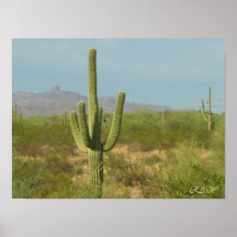 Rotes Picacho 408 Posterdruck