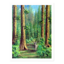 Rotholz-Wald Postkarte