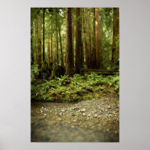 Rotholz-WaldSchlucht Plakatdrucke