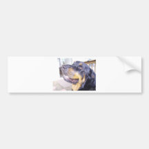 Rottie Autoaufkleber