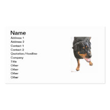 Rottweiler im Pastell Visitenkartenvorlagen
