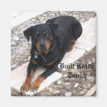 Rottweiler Magnete