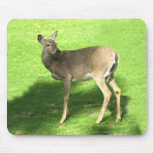 Rotwild auf Gras Mauspads