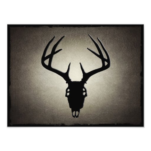 Rotwild-Jagd-Schädel mit den Geweihen Kunstfoto