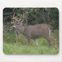 Rotwild-Mausunterlage Mousepads