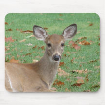 Rotwild Mousepad