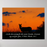 Rotwild-Sonnenuntergang Plakatdrucke