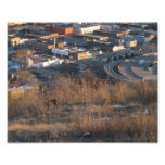 Rotwild und Stadt - Foto-Druck