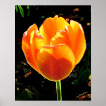Rouge d'or posterdrucke