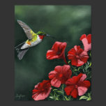 "Rubin-throated" Leinwand-Druck poster