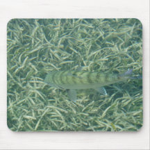 RückstandBonefish Mauspad