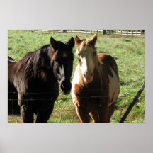 Ruhige Nachbarn Posterdruck