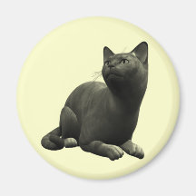 Ruhiger schwarze Katzen-Magnet Magnete