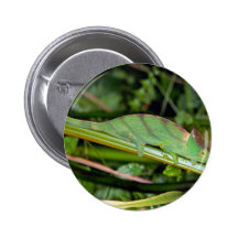 Runder Knopf Anstecknadel