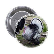 Runder Knopf der Türkei Anstecknadelbutton