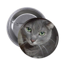 Russische blaues Grau-Katze Anstecknadelbutton