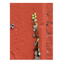 Rustikale Herbst-Reben gegen eine alte Gebäude-Kar Postkarte