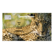 Safari-Visitenkarten, Leoparden - kundengerecht