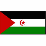Sahrawi arabische demokratische Republik-Flagge Foto Figuren