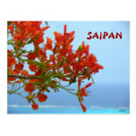 Saipan-Flammen-Blüten auf einem Ozean des Blaus Postkarten