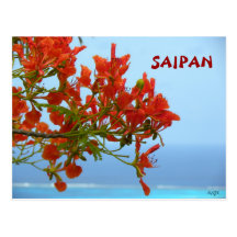 Saipan-Flammen-Blüten auf einem Ozean des Blaus Postkarten