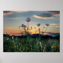 saluda Streckensonnenuntergang Plakat