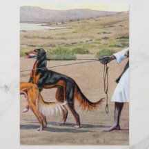 saluki bedruckte flyer