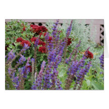 salvia und Mamas Grußkarten