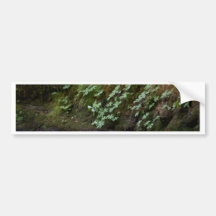 Salz-Nebenfluss, Oregon Autosticker