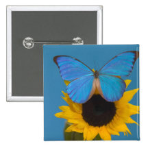 Sammamish Washington Fotografie von Schmetterling  Button