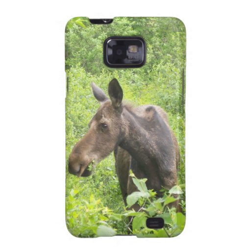 Samsung-Galaxie-Elch-Fall Galaxy S2 Cover
