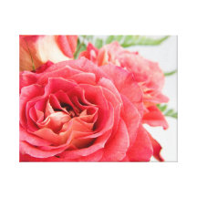 Samtartige rosa Rosen Galerie Faltleinwand